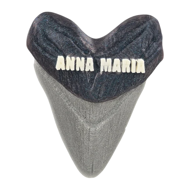 Gray shark tooth with Anna Maria lettering